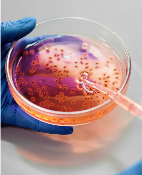 Análisis micro-biológicos - Laboratorio BioControl